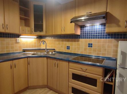 Pronájem bytu, 1+kk, 48 m²