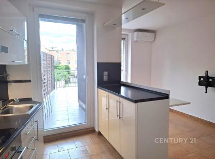 Pronájem bytu, 1+1, 55 m²