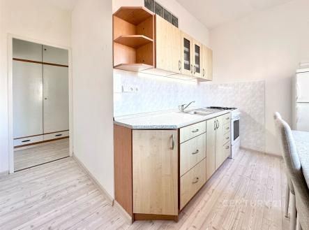 Pronájem bytu, 2+1, 56 m²