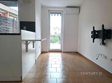 Pronájem bytu, 1+1, 55 m²