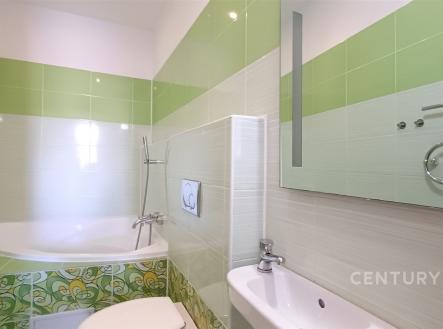 Pronájem bytu, 1+1, 55 m²