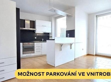 Pronájem bytu, 1+1, 55 m²