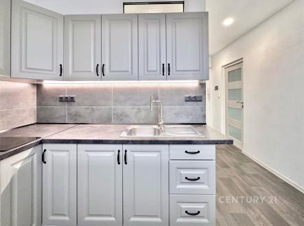 Pronájem bytu, 1+1, 31 m²