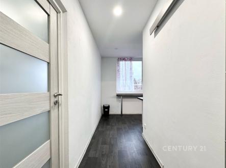 Pronájem bytu, 1+1, 31 m²