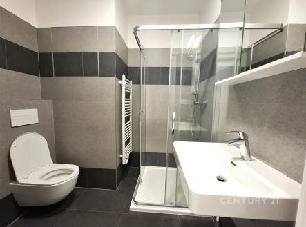 Pronájem bytu, 1+kk, 30 m²