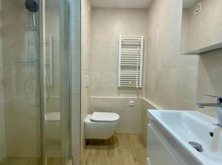 Pronájem bytu, 1+1, 30 m²