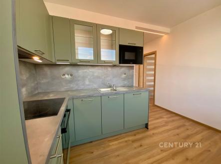 Pronájem bytu, 1+1, 30 m²