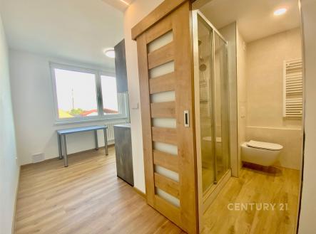 Pronájem bytu, 1+1, 30 m²
