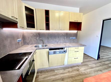 Pronájem bytu, 2+1, 56 m²