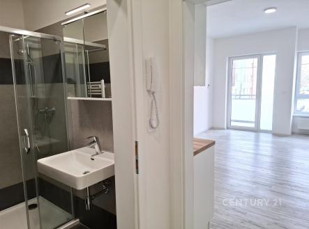 Pronájem bytu, 1+kk, 30 m²