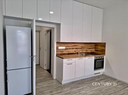 Pronájem bytu, 1+kk, 30 m²
