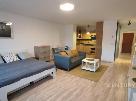 Pronájem bytu, 1+kk, 48 m²
