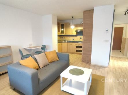Pronájem bytu, 1+kk, 48 m²