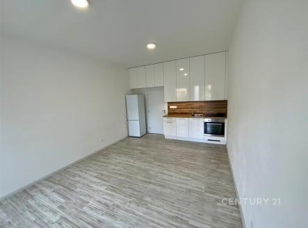 Pronájem bytu, 1+kk, 30 m²