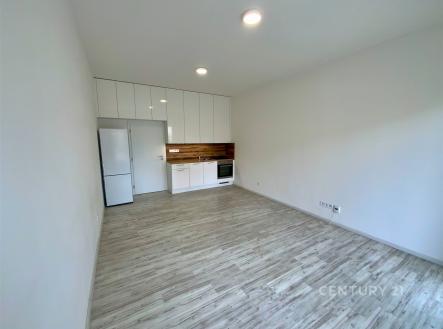 Pronájem bytu, 1+kk, 30 m²