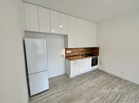 Pronájem bytu, 1+kk, 30 m²