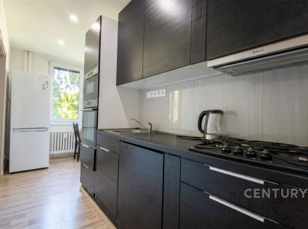 Pronájem bytu, 3+1, 70 m²