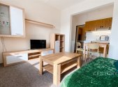 Pronájem bytu, garsoniéra, 28 m²
