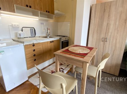 Pronájem bytu, garsoniéra, 28 m²