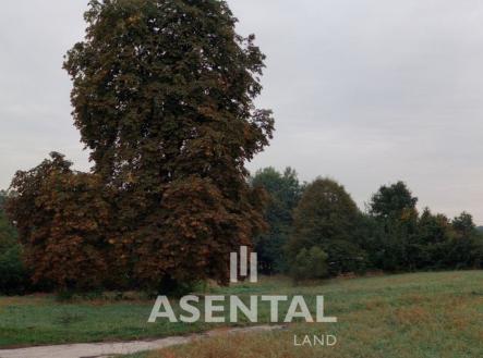 Prodej - pozemek pro bydlení, 2 731 m²
