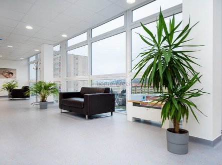 Prodej ordinace, 4 000 m²