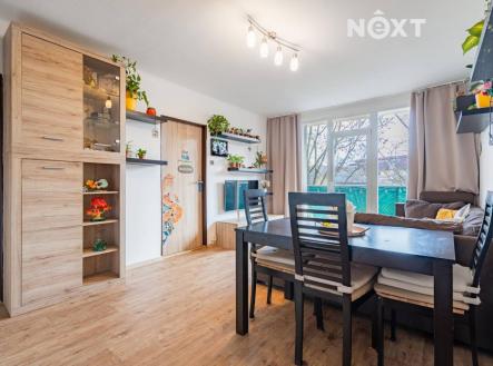 Prodej bytu, 3+1, 60 m²