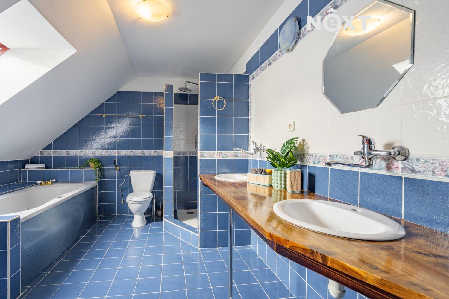 Prodej Rodinný dům, 360㎡