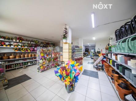 Prodej komerčního objektu, obchodní centrum, 828 m²