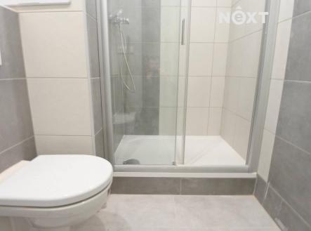 Pronájem bytu, 1+1, 36 m²