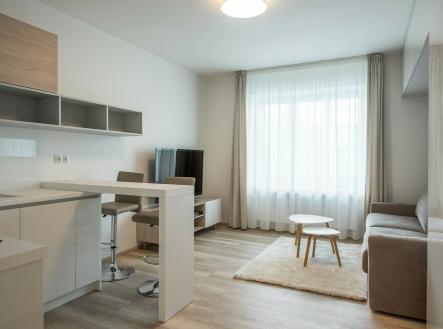 Prodej bytu, 1+kk, 22 m²