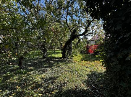 Prodej domu/vily, 200 m²