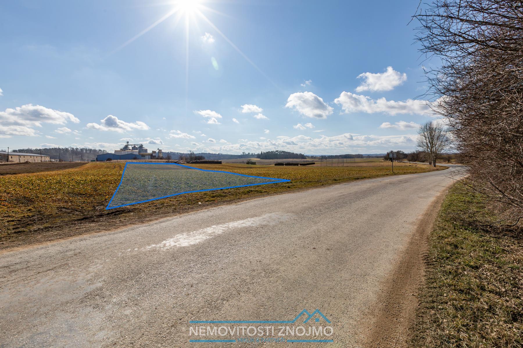 9S5A9987-Enhanced-NR kopie.jpg