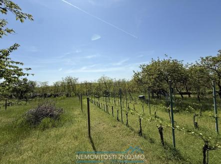 Prodej pozemku, zahrada, 650 m²