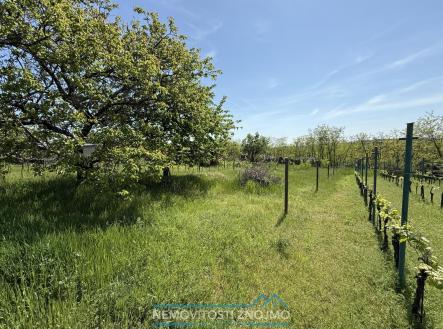 Prodej pozemku, zahrada, 650 m²