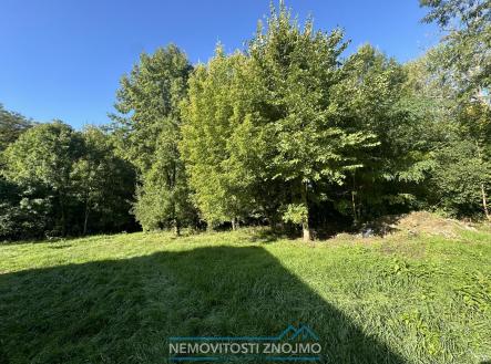 Prodej domu/vily, 300 m²