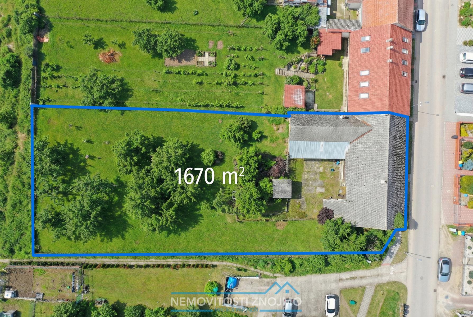 Image_20260220_224107 kopie 2.jpg