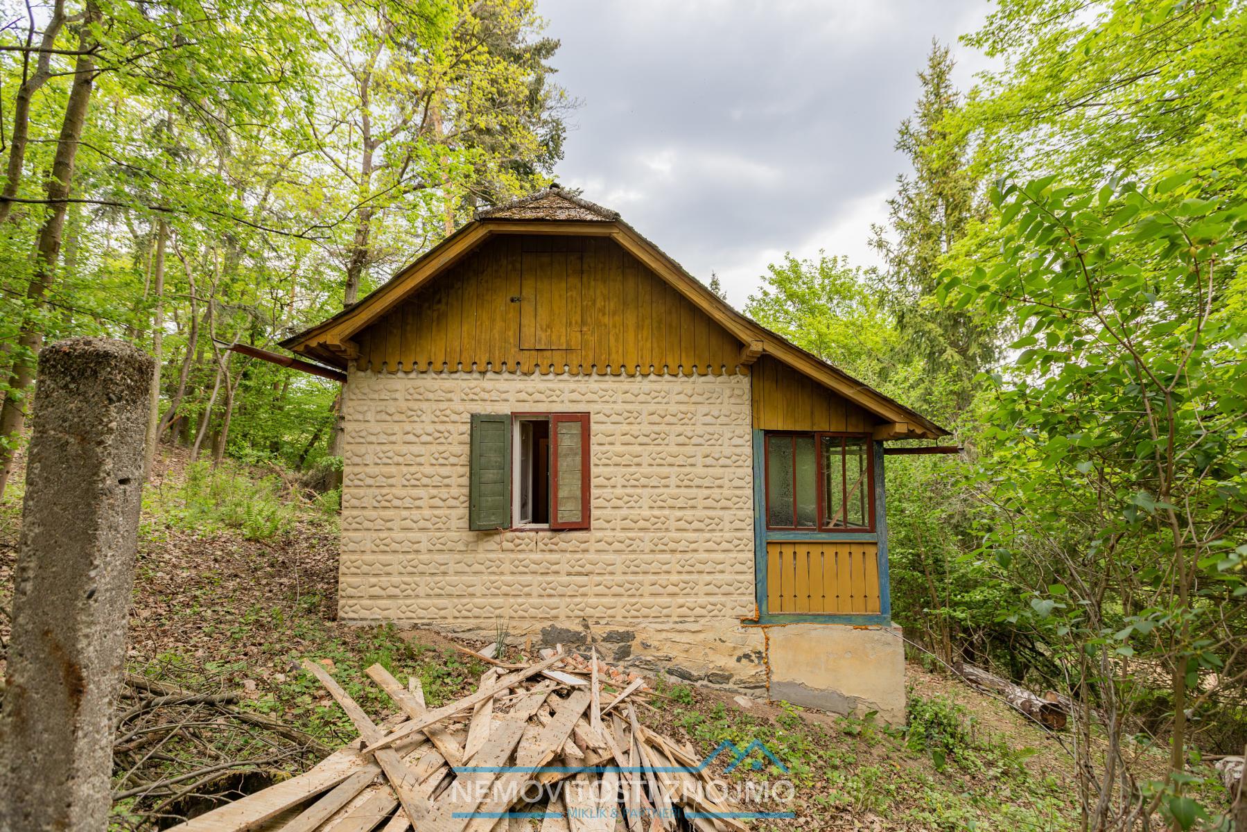 G60A5494-Enhanced-NR.jpg
