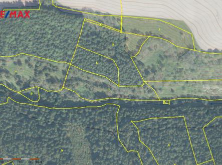 Prodej - pozemek, les, 110 000 m²