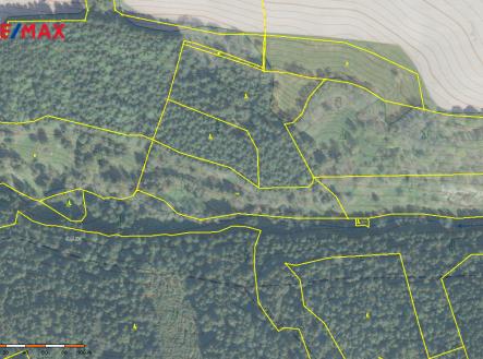 Prodej - pozemek, les, 110 000 m²