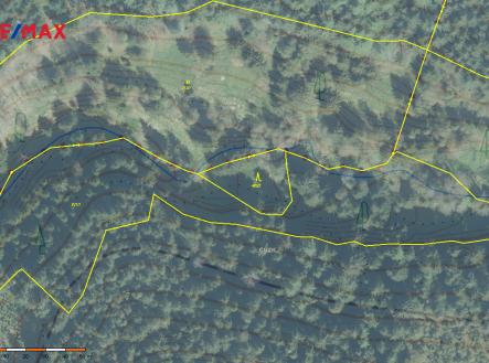 Prodej - pozemek, les, 110 000 m²