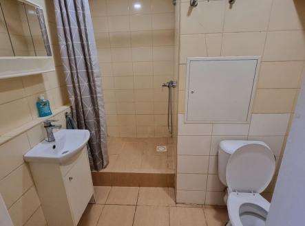 Prodej bytu, 1+kk, 33 m²