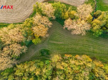 Prodej - pozemek, trvalý travní porost, 5 000 m²