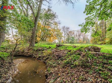 Prodej - pozemek, trvalý travní porost, 5 000 m²