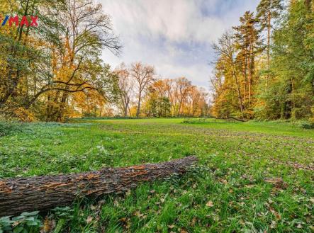 Prodej - pozemek, trvalý travní porost, 5 000 m²