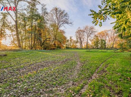 Prodej - pozemek, trvalý travní porost, 5 000 m²