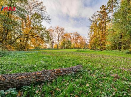 Prodej pozemku, trvalý travní porost, 5 000 m²