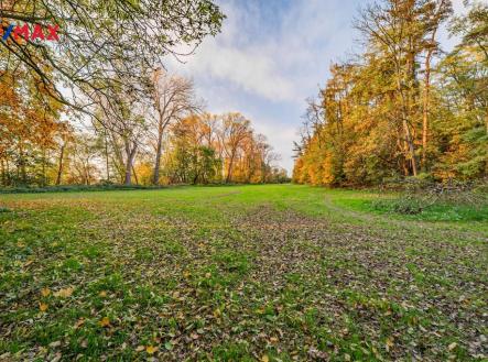 Prodej pozemku, trvalý travní porost, 5 000 m²