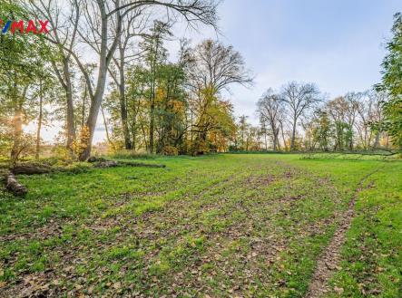 Prodej pozemku, trvalý travní porost, 5 000 m²