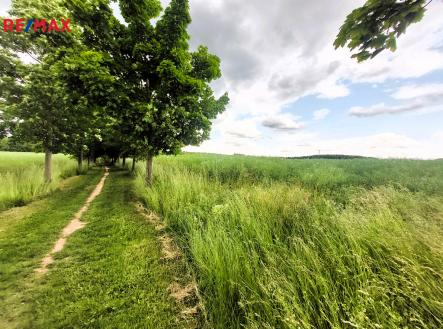 Prodej pozemku, zemědělská půda, 34 240 m²