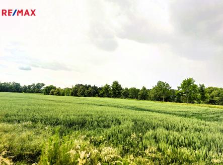 Prodej - pozemek, zemědělská půda, 22 979 m²